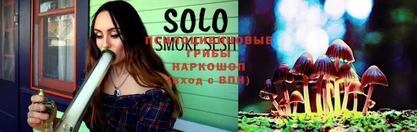 прущие грибы Майский