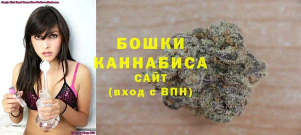 прущие грибы Майский