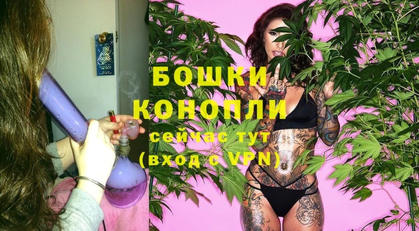 прущие грибы Майский