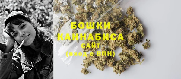 прущие грибы Майский