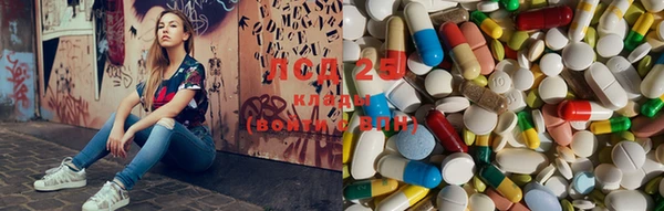 гашиш Магас