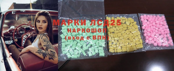 прущие грибы Майский