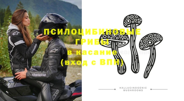прущие грибы Майский
